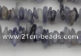 CCH658 15.5 inches 4*6mm - 5*8mm iolite gemstone chips beads