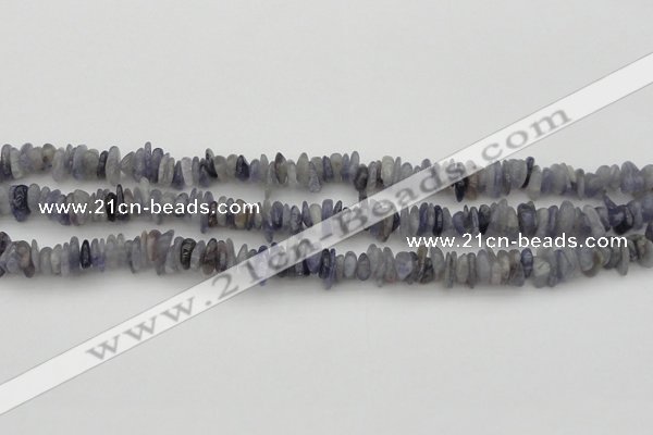 CCH658 15.5 inches 4*6mm - 5*8mm iolite gemstone chips beads