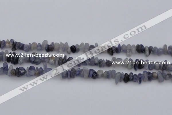 CCH659 15.5 inches 5*8mm - 6*10mm iolite gemstone chips beads