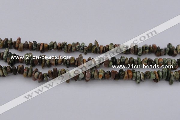 CCH662 15.5 inches 5*8mm - 6*10mm rhyolite gemstone chips beads