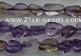 CCH674 15.5 inches 4*6mm - 5*8mm ametrine gemstone chips beads