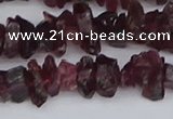 CCH704 15.5 inches 4*6mm - 6*8mm purple garnet chips beads