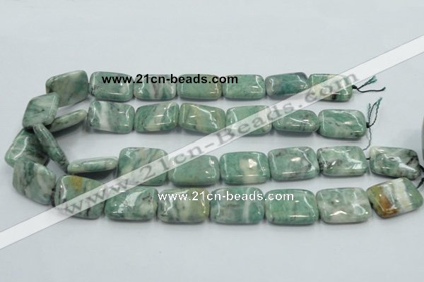 CCJ53 15.5 inches 18*25mm rectangle African jade gemstone beads