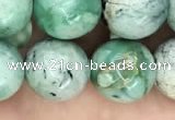 CCO354 15.5 inches 12mm round natural chrysotine gemstone beads