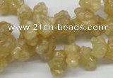 CCR85 15.5 inches 12mm chip citrine gemstone beads wholesale