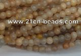 CCS301 15.5 inches 4mm round natural sunstone beads wholesale