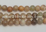 CCS302 15.5 inches 6mm round natural sunstone beads wholesale