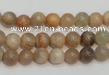 CCS303 15.5 inches 8mm round natural sunstone beads wholesale