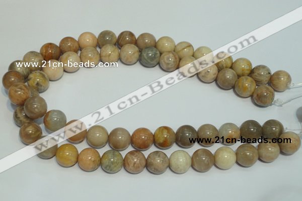 CCS306 15.5 inches 14mm round natural sunstone beads wholesale