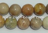 CCS307 15.5 inches 16mm round natural sunstone beads wholesale