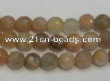 CCS311 15.5 inches 8mm faceted round natural sunstone beads