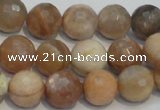 CCS313 15.5 inches 12mm faceted round natural sunstone beads