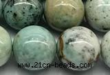 CCS943 15 inches 12mm round chrysocolla beads