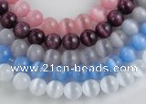 CCT02 Different color 10mm round cats eye beads Wholesale