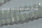 CCT301 15 inches 4mm faceted round cats eye beads wholesale