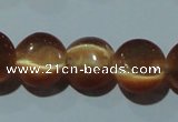 CCT488 15 inches 8mm flat round cats eye beads wholesale