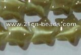 CCT866 15 inches 10mm star cats eye beads wholesale