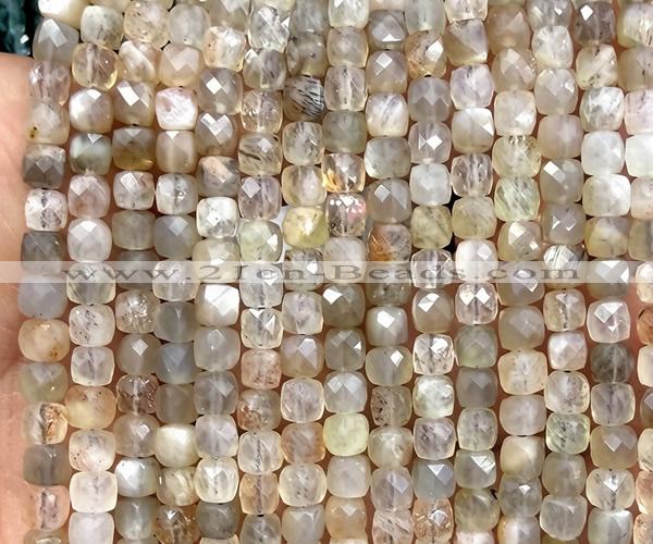 CCU1829 15 inches 4mm faceted cube grey moonstone beads