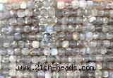 CCU1837 15 inches 4mm faceted cube labradorite gemstone beads