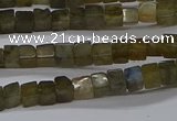 CCU311 15.5 inches 4*4mm cube labradorite beads wholesale