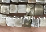 CCU458 15.5 inches 4*4mm cube fossil coral beads wholesale