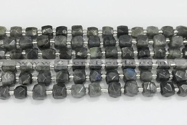 CCU764 15 inches 8*8mm faceted cube labradorite beads