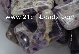 CDA07 15.5 inches 22*30mm rectangle dogtooth amethyst quartz beads