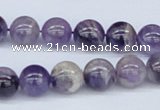 CDA53 15.5 inches 10mm round dogtooth amethyst beads wholesale