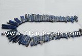 CDE1515 Top drilled 5*15mm - 6*55mm sticks sea sediment jasper beads