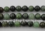 CDJ251 15.5 inches 6mm round Canadian jade beads wholesale