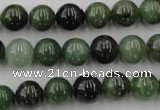 CDJ253 15.5 inches 10mm round Canadian jade beads wholesale