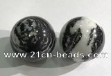 CDN1276 40mm round black & white jasper decorations wholesale