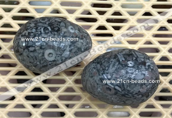 CDN347 35*50mm egg-shaped fossil jasper decorations wholesale