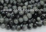 CEE02 15.5 inches 6mm round eagle eye jasper beads wholesale