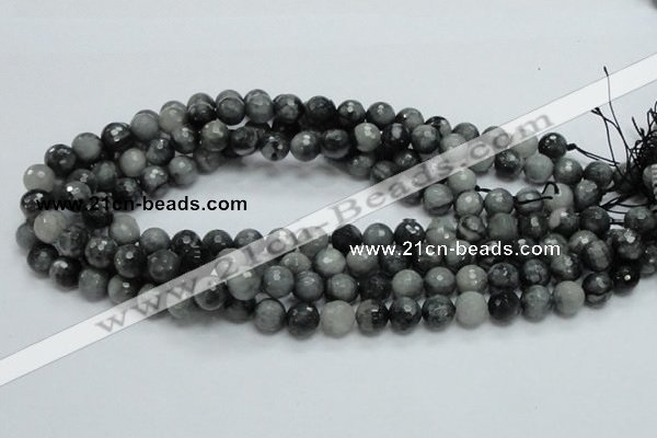 CEE21 15.5 inches 10mm faceted round eagle eye jasper beads wholesale