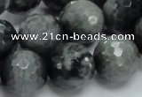 CEE24 15.5 inches 18mm faceted round eagle eye jasper beads wholesale