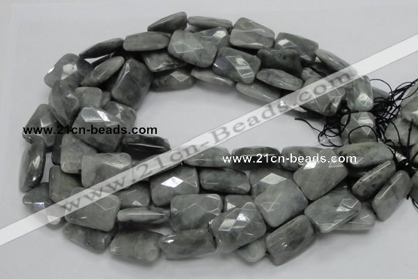 CEE35 15.5 inches 18*25mm faceted rectangle eagle eye jasper beads