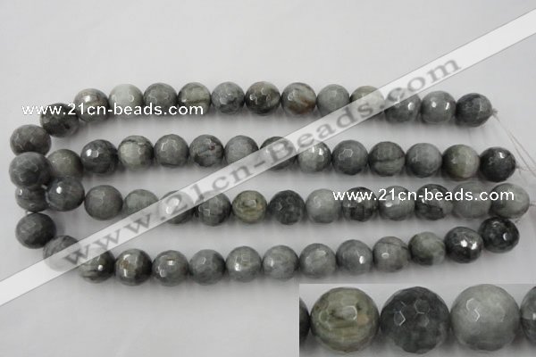 CEE355 15.5 inches 14mm faceted round eagle eye jasper beads