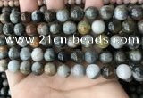 CEE526 15.5 inches 10mm round eagle eye jasper beads wholesale