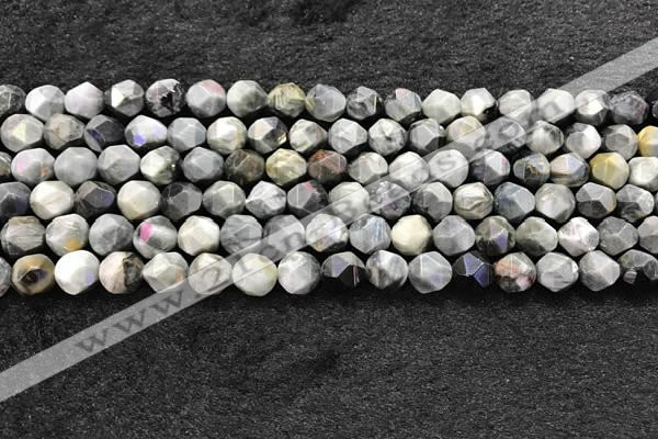 CEE530 15.5 inches 6mm faceted nuggets eagle eye jasper beads