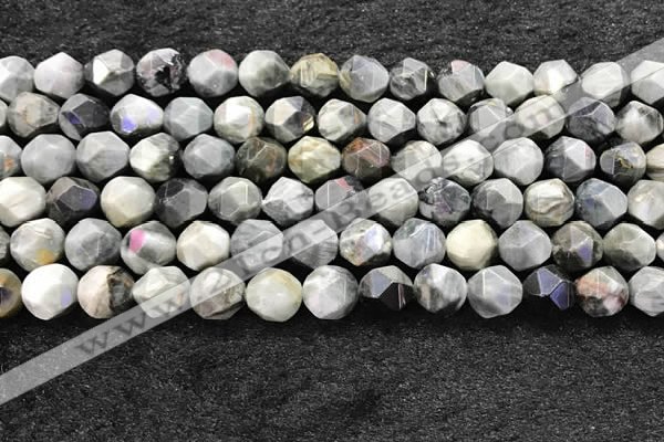 CEE532 15.5 inches 10mm faceted nuggets eagle eye jasper beads