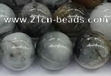 CEE537 15.5 inches 10mm round eagle eye jasper beads wholesale
