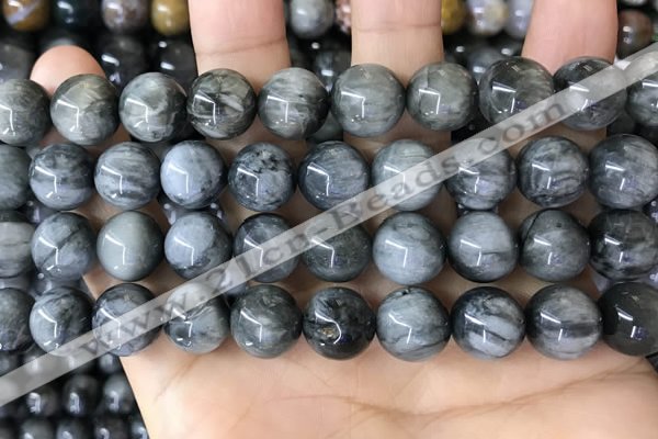 CEE544 15.5 inches 12mm round eagle eye jasper gemstone beads