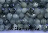 CEE561 15 inches 3mm faceted round eagle eye jasper beads