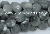 CEE57 15.5 inches 10mm faceted coin eagle eye jasper beads