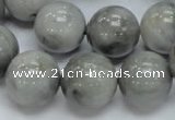 CEE61 15.5 inches 14mm round eagle eye jasper beads wholesale