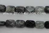 CEE80 15.5 inches 8*10mm faceted rectangle eagle eye jasper beads