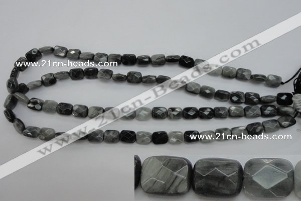 CEE80 15.5 inches 8*10mm faceted rectangle eagle eye jasper beads