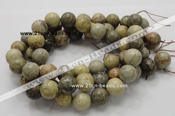 CFA05 15.5 inches 20mm round chrysanthemum agate gemstone beads