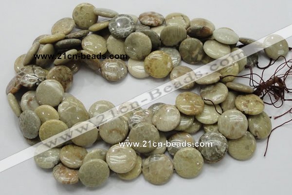 CFA08 15.5 inches 20mm flat round chrysanthemum agate gemstone beads